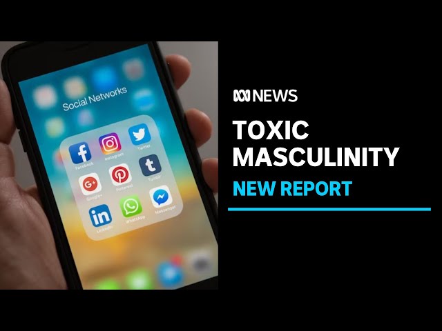 Bi-partisan support for banning of children under 16 from social media | ABC News