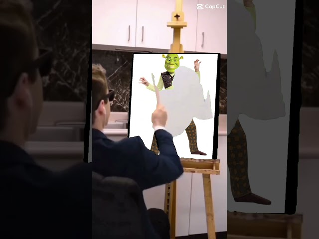 Funny painting video