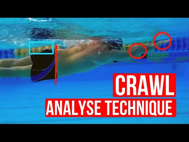TOUS les nageurs RAPIDES suivent cette UNIQUE règle ‼️ (Analyse technique crawl)