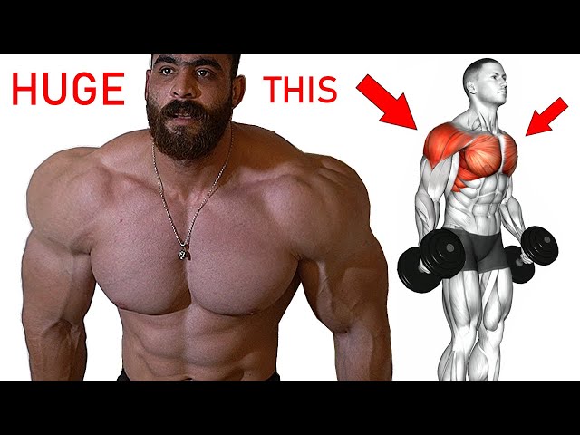 The best exercises to build shoulder chest easily and quickly