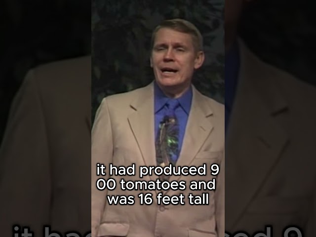 "Dr. Kent Hovind: The Incredible Hyperbaric Tomato Experiment!"