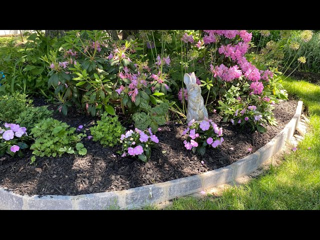 Hello June 2024! Late Spring City English-style Cottage Garden | Planting Impatiens and SunPatiens