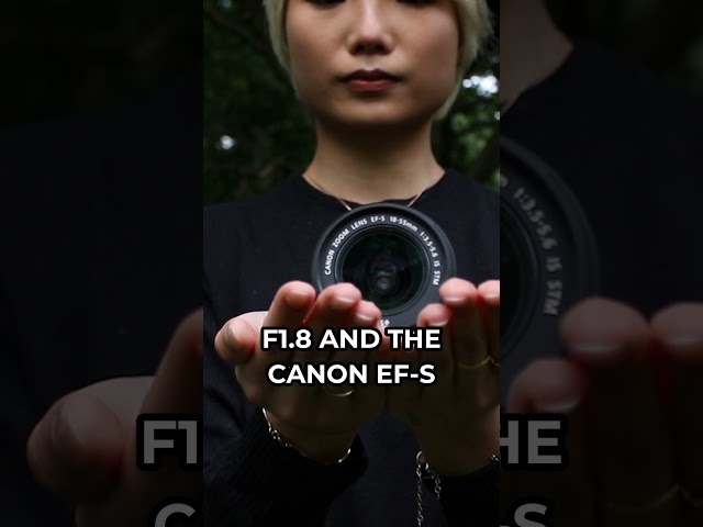 Canon Rebel SL3 vs Rebel T6: Which Lenses Are They Compatible With?