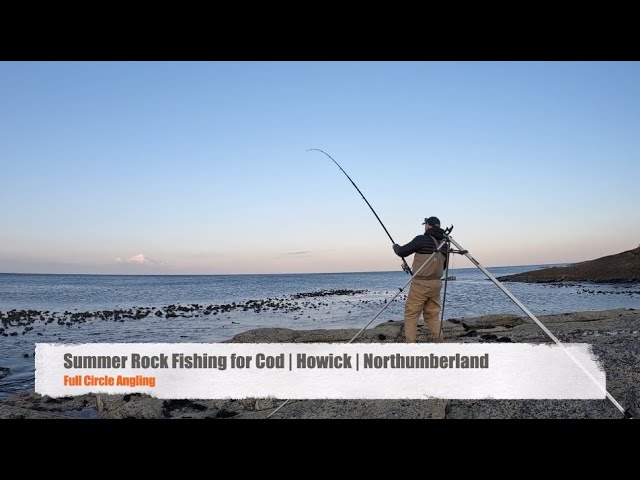 Summer Rock Fishing for Cod | Howick | Northumberland #century  #shimano #codfishing #rockfishing