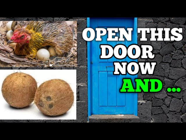 THE POWER OF COCONUT WATER AND EGG TO OPEN DOOR OF FAVOUR AND ATTRACT WEALTH| Simple Life Hack