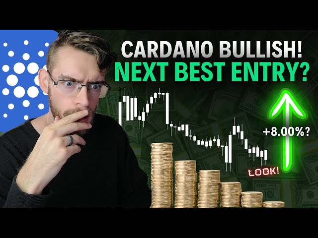 Cardano 8% PROFIT Next Best Entry?