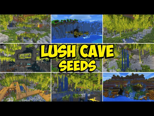 TOP 20 LUSH CAVE Seeds For Minecraft 1.21 (Java & Bedrock)