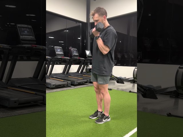 Bicep curl - alternating dumbbell w/ rotation