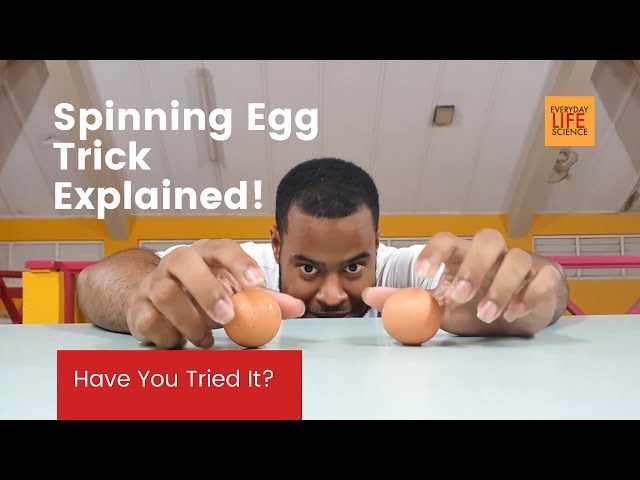 Why Does A Fresh Egg Spin Slower Than A Boiled Egg | Inertial Egg