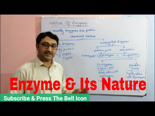 Enzyme & Its Nature