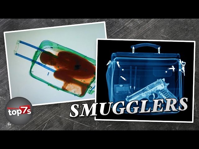 Top 7 Strangest Things People Have Smuggled