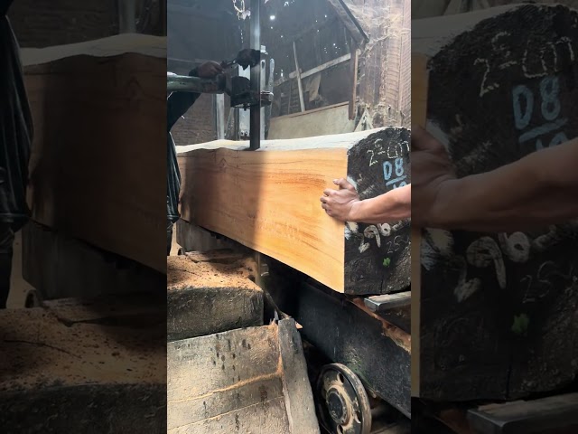what a dangerous this process is #sawmill #woodmachine #carpentry #satisfying #woodcuting #woodwork
