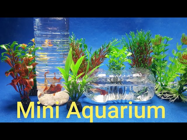 Simple mini aquarium with plastic bottles / 가로 세로 미니어항 간단히 플라스틱병으로 만드는 방법