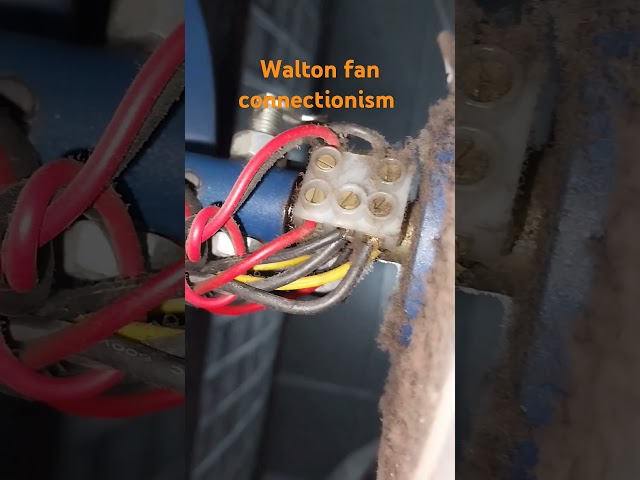 Walton fan connection