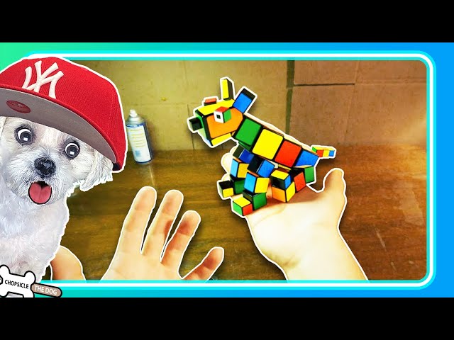 Solving A Rubik's Cube! A Buttered Side Down Reaction Video by @ChopsicleTheDog