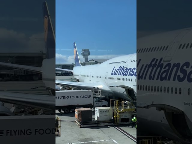 Boeing 747. At LAX flying to Frankfurt for Lufthansa. I hope to fly this before it retires