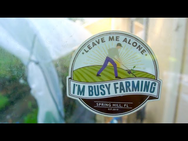 Leave Him Alone, He's Busy FARMING!! (Part 2) #gardening #trending #permaculture