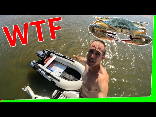 Solo mini mother ship - new creek - Sand and Mud Crabs - Catch & Cook - EP.593