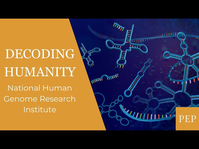 How was the human genome sequenced? - National Human Genome Research Institute