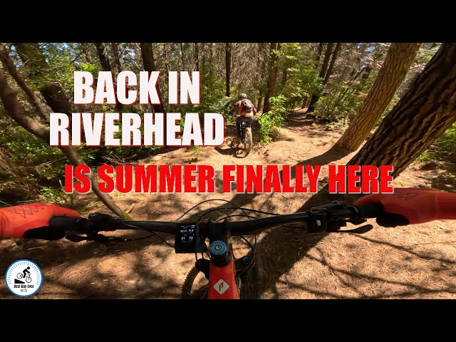 Back in Riverhead Forest- Is summer finally here?