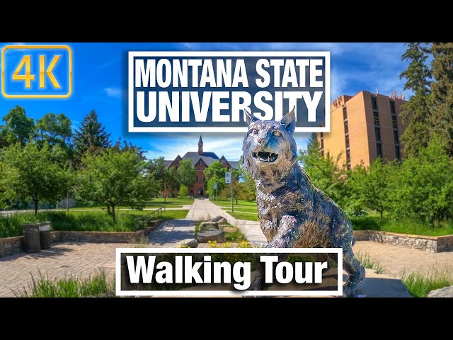 4K City Walks - Bozeman Montana - Montana State University - Virtual Walking Trails for Treadmill