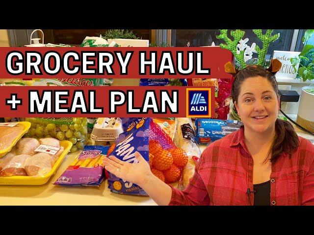 Weekly Grocery Haul for a Family of Four | Aldi Grocery Haul