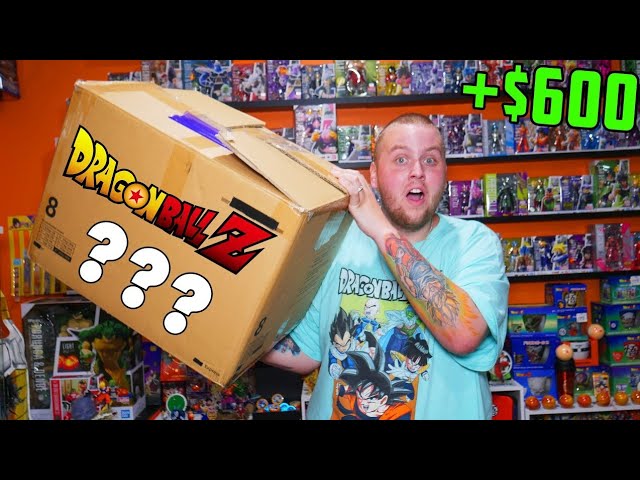 I Broke The Dragon Ball Collection Record with This $600 Dragon Ball Mystery Box!