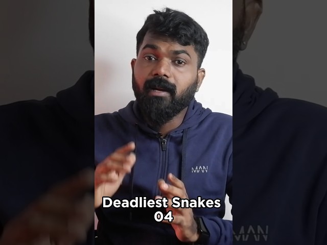 ലോകത്തിലെ മാരക വിഷമുള്ള 10 പാമ്പുകൾ  |  10 Deadliest Snakes in the World | VJustalk Episode #017