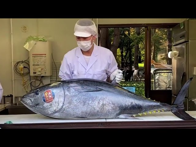 FOR LOVERS Street Tuna Dismantling Show - Cutting Skills