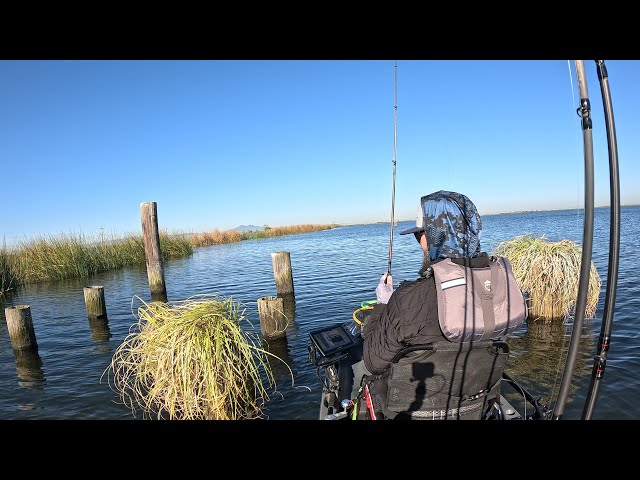 SIGHT FISHING for Pre Spawn Bass In Clear Water | California Delta