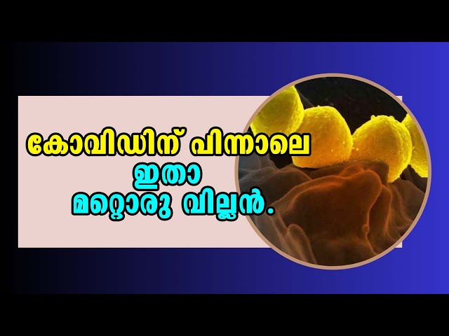 Covid | Malayalam Latest News | Streptococcus pyogenes | കോവിഡിന് പിന്നാലെ ഇതാ മറ്റൊരു വില്ലൻ