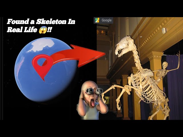 I Found Strange Skeleton In Real Life Caught On Google Earth And Google Maps 🤯😱!#findsomesecrets11