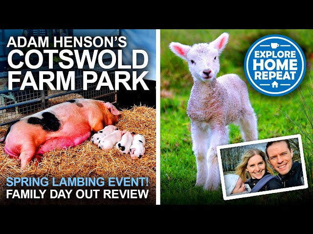 Adam Henson's Cotswold Farm Park | Family Day Out Review | Spring Lambing | UK Travel Vlog