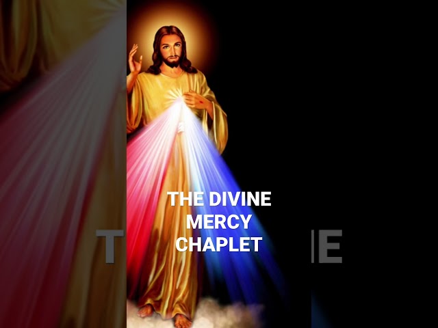 THE DIVINE MERCY CHAPLET | JESUS I TRUST IN YOU ♥️🙏 #shorts #youtube #catholic #divinemercy  #fyp