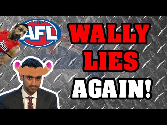 Waleed Aly Compares Adam Goodes to Donald Trump!