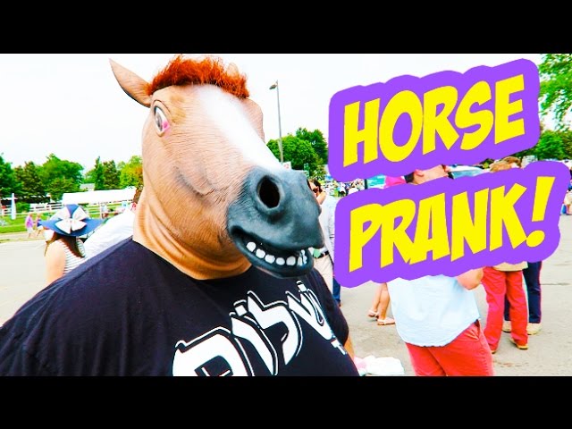 HORSE PRANK!