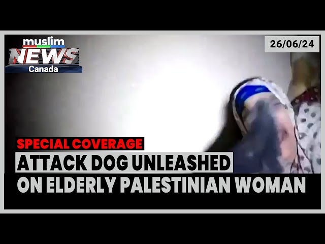 Israeli Military Unleashes a Dog on Elderly Palestinian Woman | June 26, 2024