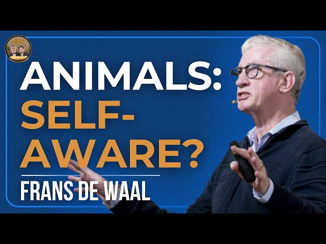Elephants' Memory, Empathy, and Intelligence | Dr. Frans de Waal