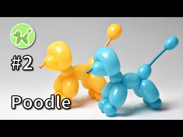 Poodle - Balloon Animals for Beginners #2