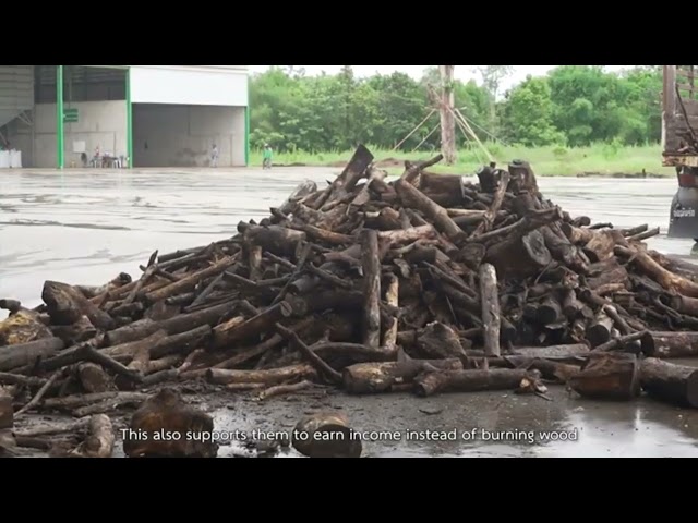 30000 ton per year biomass wood pelle production line