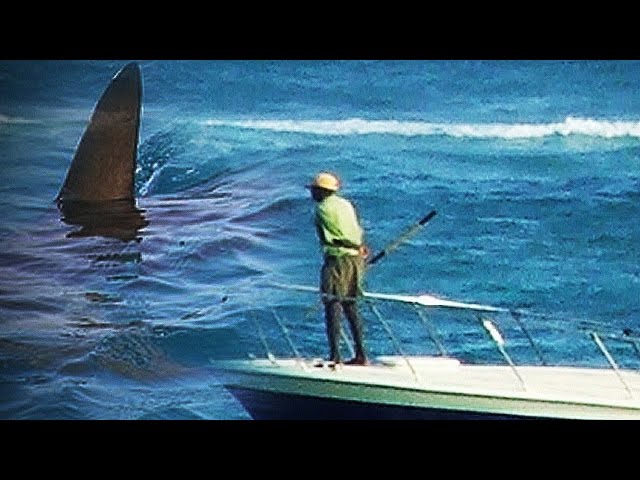 Megalodon Shark Caught on Tape 2015 - NEw Photo | Digital filters show the truth!