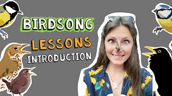 Birdsong Lessons with Lucy Lapwing