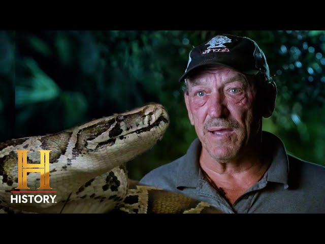Troy vs. Nesting Burmese Pythons | Swamp People: Serpent Invasion (S4)