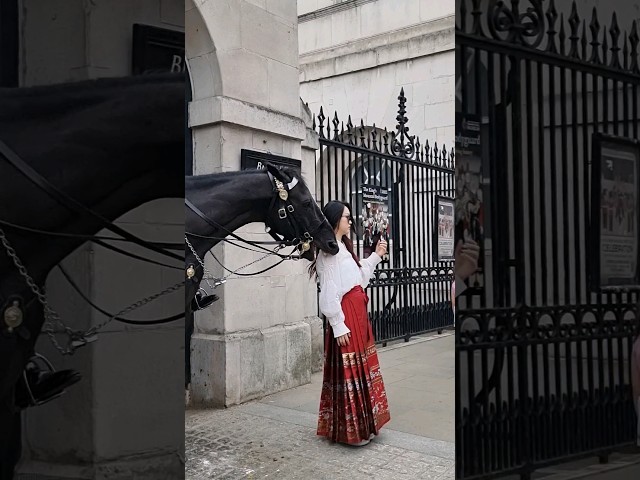 Big Mistake. This is the famous King's Horse ORMONDE at Horse Guards #kingsguard
