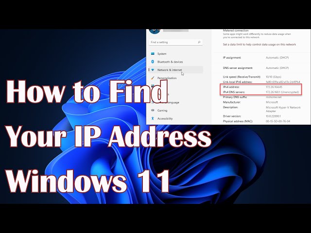 How to Find Your IP Address on Windows 11