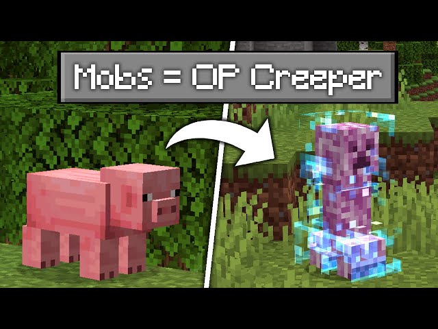 Minecraft, aber alle MOBS sind Custom CREEPER