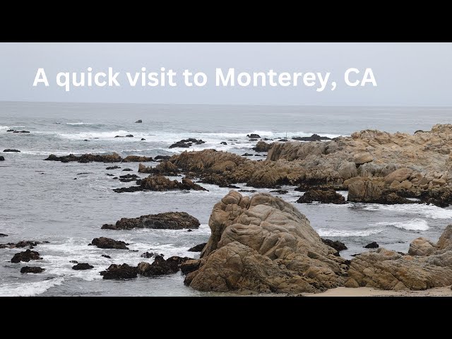 A Quick Trip to Monterey