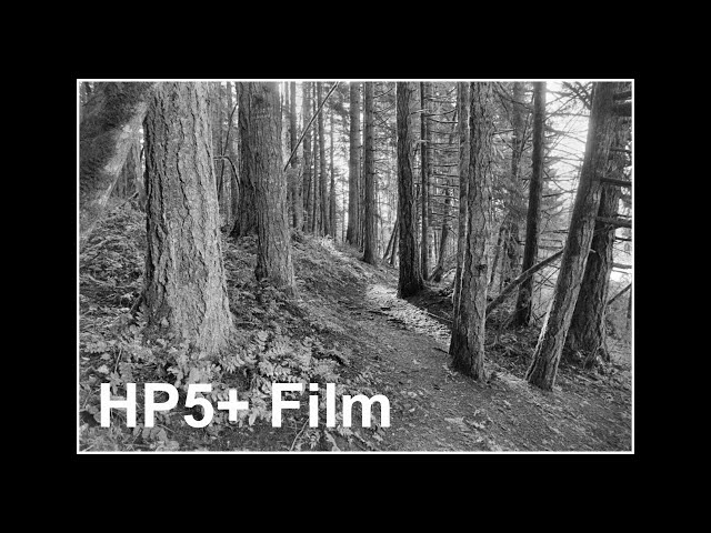 Ilford HP5+ Black and White Film, Not What I Expected