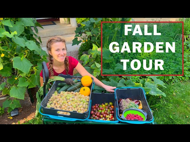 We harvested 128 lbs. of food in one week: Urban Garden Tour | Nora's Ark