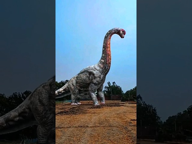 Brachiosaurus 🦕The Towering Titan of the Late Jurassic Era #shorts #brachiosaurus #dino #dinosaur